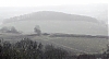 vignes-.jpg
