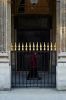 _DSC0787_1_copy.jpg