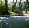 POLA010.jpg