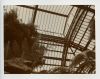 POLA024.jpg