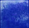 POLA_005_-_Version_3.jpg