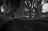 Thedarkedge2CUlster.jpg