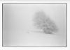hiver2007_010.jpg
