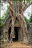 Angkor07.jpg