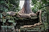 Angkor09.jpg