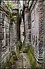 Angkor16.jpg