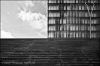 BNF-6.jpg