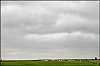 Campagne.jpg