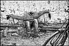 Ph-2012-12-24-Bombay-0009-Modifier-Modifier.jpg