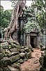 Ph-2013-08-08-Angkor-0017-Modifier.jpg