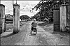 caoutchouc-01.jpg