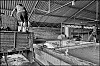 caoutchouc-05.jpg