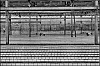 caoutchouc-10.jpg