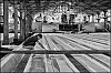 caoutchouc-11.jpg