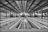 caoutchouc-12.jpg