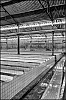 caoutchouc-14.jpg