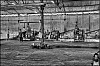 caoutchouc-16.jpg