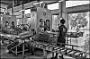caoutchouc-29.jpg
