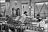 caoutchouc-30.jpg