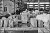 caoutchouc-32.jpg