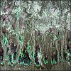 ph--plage-01.jpg