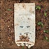 ph-14082016-portrait-0001.jpg