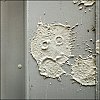 ph-portrait-0001~5.jpg