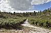 110905_SOL4768-HDR.jpg