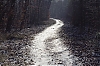 120204_Bleau_2.jpg