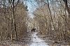 120204_Bleau_3.jpg