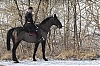 120204_Bleau_4.jpg