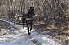 120204_Bleau_5.jpg