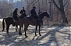 120204_Bleau_6.jpg