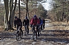 120204_Bleau_7.jpg