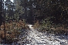 120204_Bleau_9.jpg