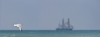 Belem800.jpg