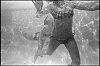 001034_1.jpg
