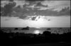 2010_3_7_2971_00001.jpg