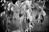 2011_6_10_2971_00002.jpg