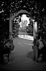 L1000371.jpg