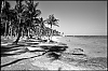 L1000410.jpg