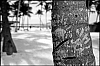 L1000441.jpg