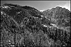 L1000775.jpg