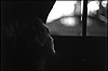 L1001176.jpg