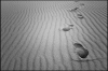 L1001286.jpg