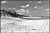 L1001513.jpg