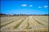 L1002369-2.jpg