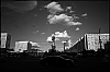 L1002397.jpg