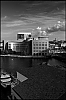L1003444.jpg