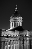 L1003574.jpg